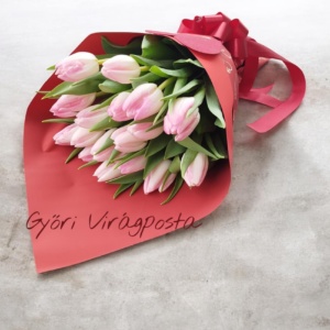 Tulipán tölcsérben